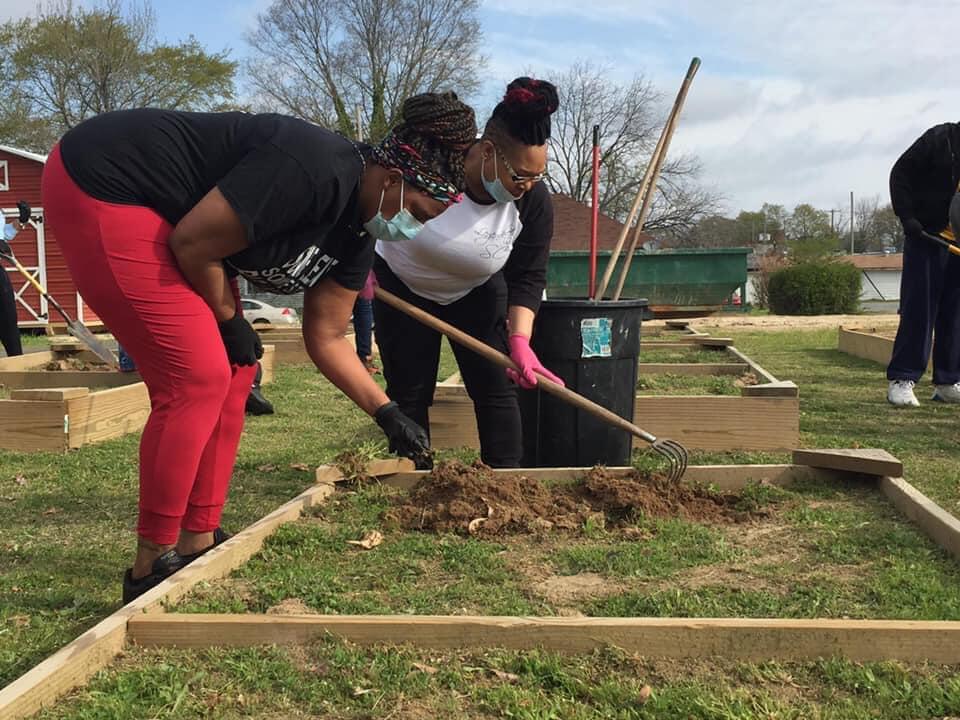 Women tilling in garden bed