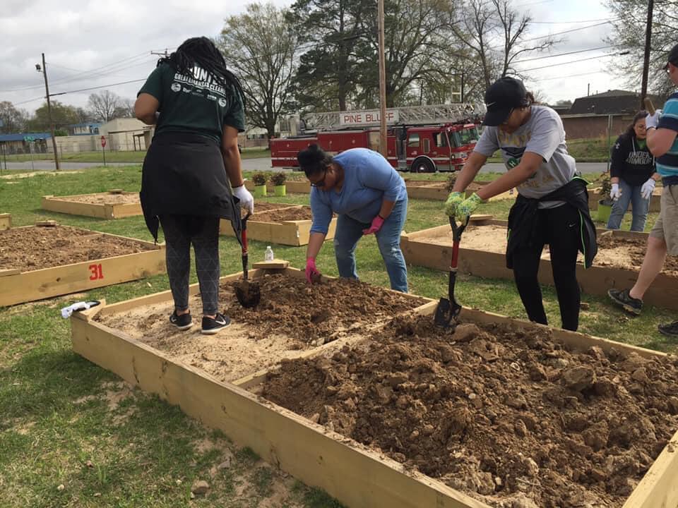 Women working in garden bed